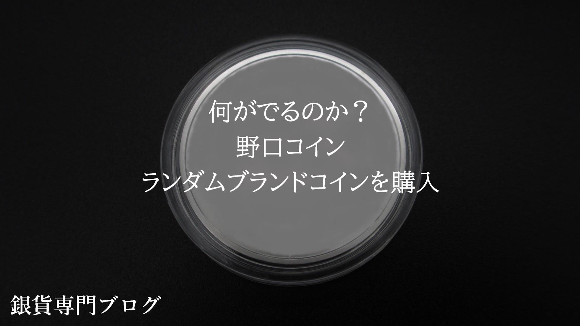 野口コインランダムブランドコイン